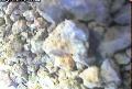 ccat0_20060829115959