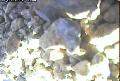 ccat0_20060829125959