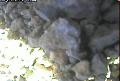 ccat0_20060829135959