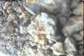ccat0_20060829195959