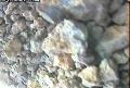ccat0_20060829210000