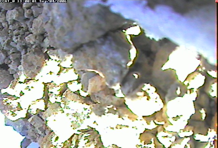 ccat0_20060904130001.jpg