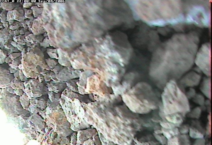 ccat0_20060904220000.jpg
