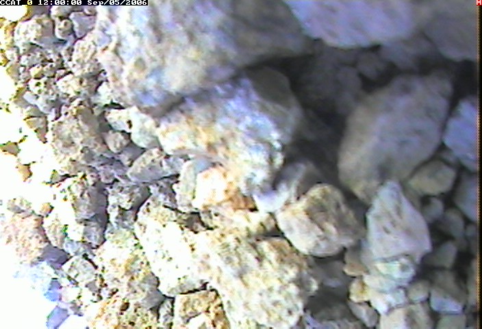ccat0_20060905120000.jpg