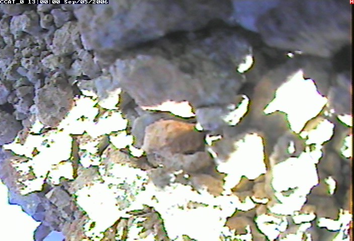 ccat0_20060905130000.jpg
