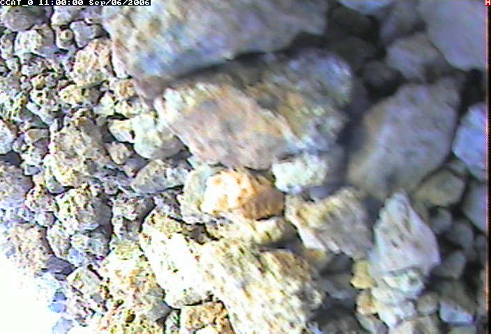 ccat0_20060906110000.jpg
