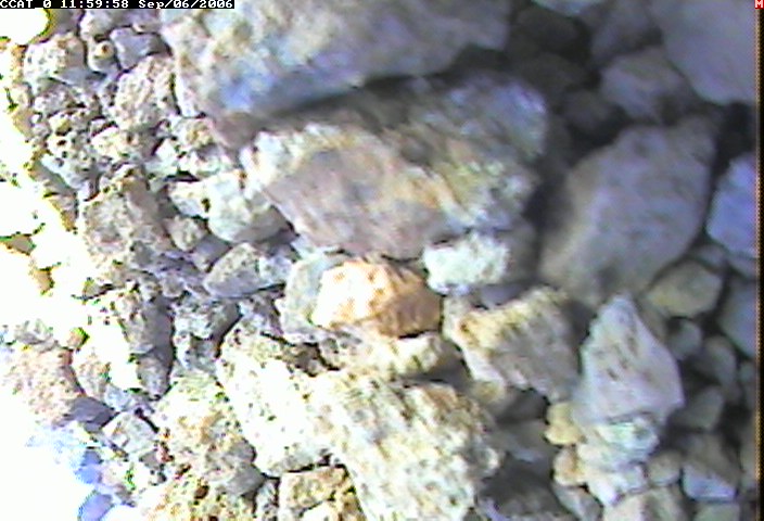 ccat0_20060906115958.jpg