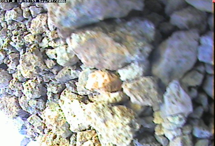 ccat0_20060907105959.jpg