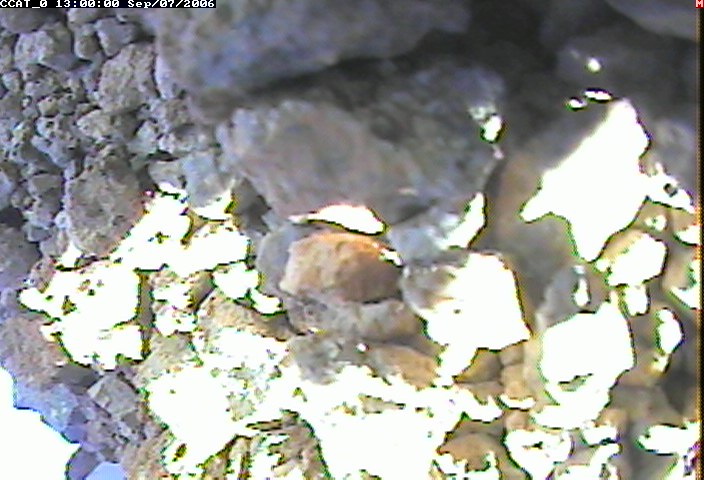 ccat0_20060907130000.jpg