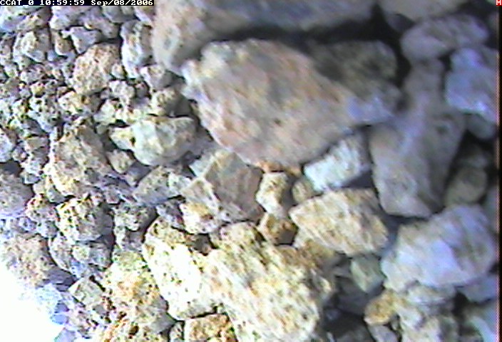 ccat0_20060908105959.jpg