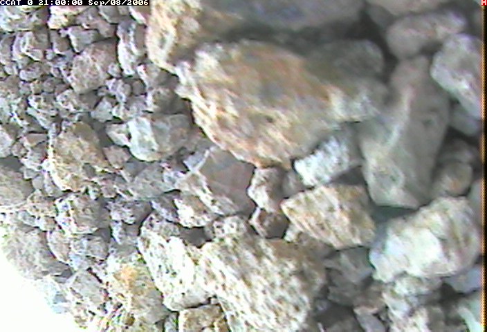 ccat0_20060908210000.jpg