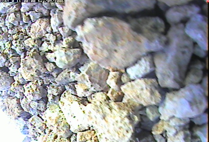 ccat0_20060909110000.jpg