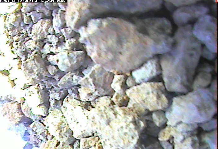 ccat0_20060909120000.jpg