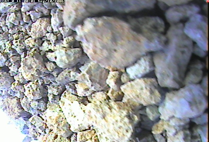 ccat0_20060910110001.jpg