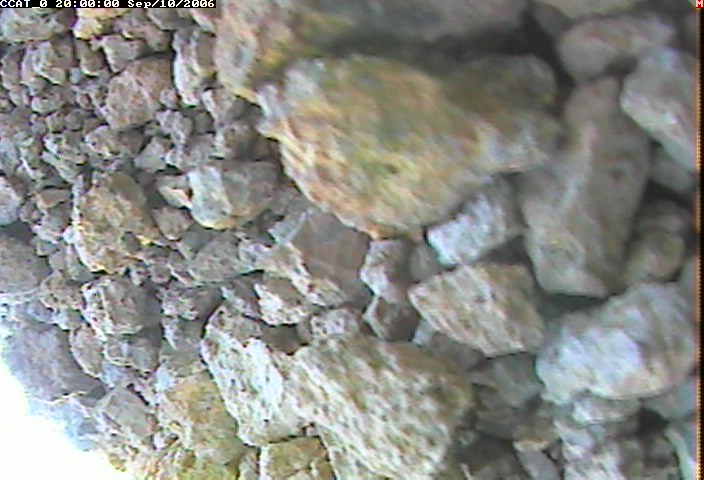ccat0_20060910200000.jpg