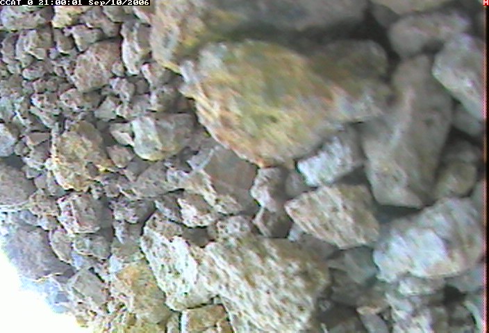 ccat0_20060910210001.jpg