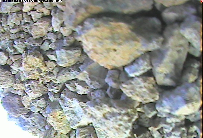ccat0_20060912185959.jpg