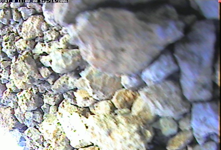 ccat0_20060914110000.jpg