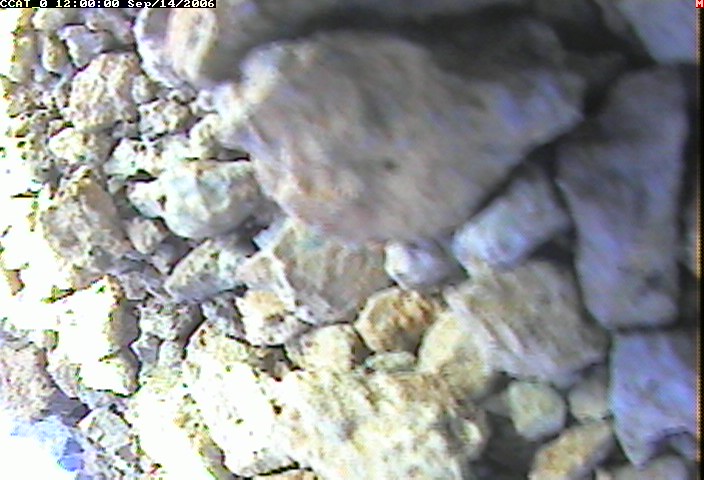 ccat0_20060914120000.jpg