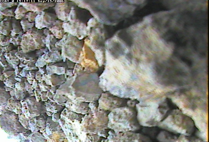 ccat0_20060915191711.jpg