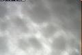 ccat0_20060901115959