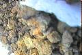 ccat0_20060904110000