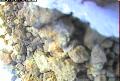 ccat0_20060904115959
