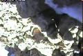ccat0_20060904140001