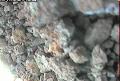 ccat0_20060904220000