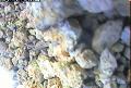 ccat0_20060905105959
