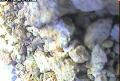 ccat0_20060905120000
