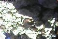 ccat0_20060905135959