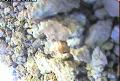 ccat0_20060906110000