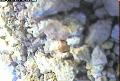 ccat0_20060906115958