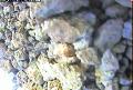 ccat0_20060907105959