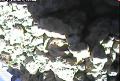 ccat0_20060907140000