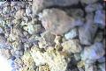 ccat0_20060908105959