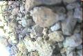 ccat0_20060908115959