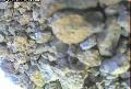 ccat0_20060908185959