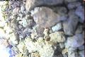 ccat0_20060909120000