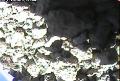 ccat0_20060909140000