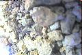 ccat0_20060910120001