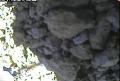 ccat0_20060910170000