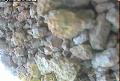 ccat0_20060910200000
