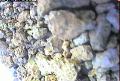 ccat0_20060911105959