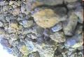 ccat0_20060912175959