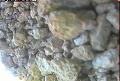 ccat0_20060912195959