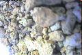 ccat0_20060913105958