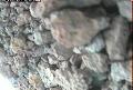 ccat0_20060913215959