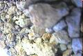 ccat0_20060914110000